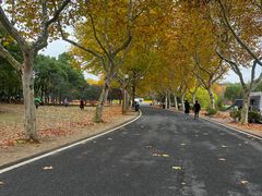 -宜兴龙背山森林公园