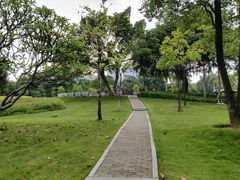 -文华公园(禅城区)