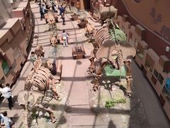 -陕西自然博物馆