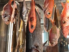 -领仕扒房(长春店)