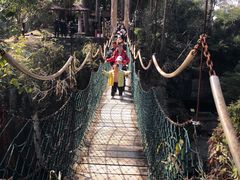 -千岛湖东南湖区