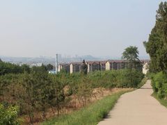 -原山国家森林公园