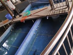 -鲤鱼塘农家山庄