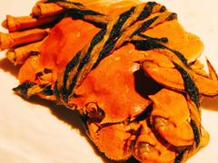 同福飘香蟹-同福龙虾(高新店)