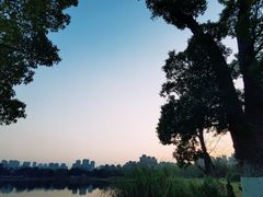 -武汉园博园(武汉自然博物馆)