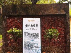 -罗浮山嘉宝田森林温泉度假酒店