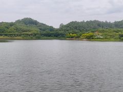 -大夫山顺驰自助烧烤场