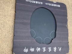 -太原动物园