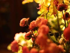 -春暖花开(西溪店)