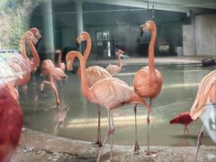 -石家庄市动物园