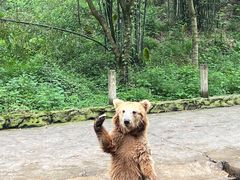 -贵州森林野生动物园