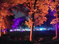 -西苑公园
