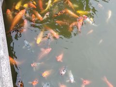 -檀园