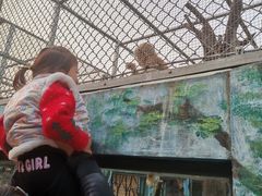 -西安秦岭野生动物园