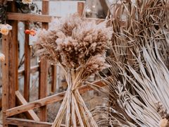 -安德鲁户外烧烤帐篷营地(马泉营店)