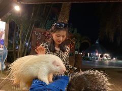-清迈夜间动物园