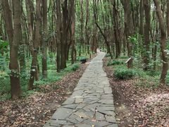 -同里国家湿地公园