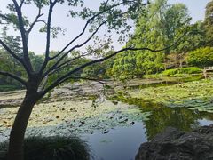 -杭州植物园