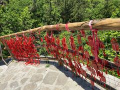 -金龙寺国家森林公园