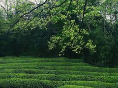 -敬亭山风景名胜区