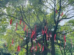 -狼山风景名胜区