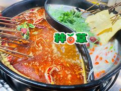 -串掌门砂锅串串香(后瑞店)