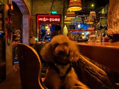 -城墙外BAR