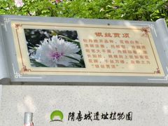 -洛阳市隋唐城遗址植物园
