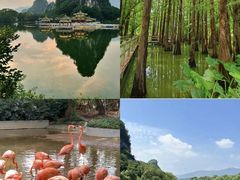 -鼎湖山风景区