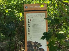 -北京鹫峰国家森林公园