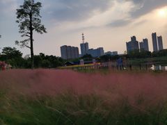 -映月湖公园