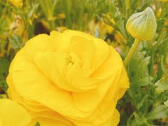 -上海市外滩历史纪念馆