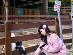 -广州锦绣香江度假别墅