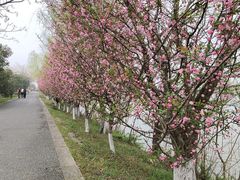 -苏州太湖国家湿地公园