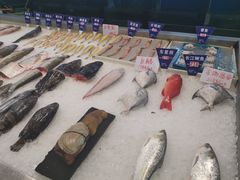 -莆鑫海鲜城(浏河店)