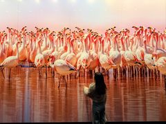 -罗红摄影艺术馆