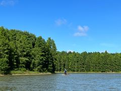 -上海海湾国家森林公园