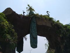 -东方熊牧场