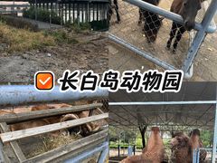 -长白岛森林公园