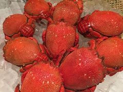 -富力希尔顿酒店·地阔自助餐厅