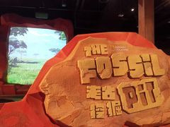 -珠海横琴国家地理探险家中心(创新方)