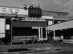-向外鱼乐·土菜·虹鳟鱼