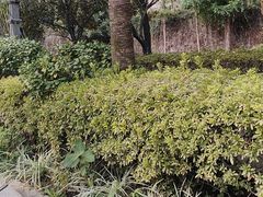 -故乡缘·香格里拉山庄(冷竹路店)