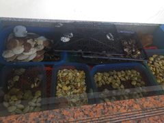 -原龙海鲜大排档(美食地标店)