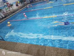 -奇缘游泳培训基地(辰茂店)