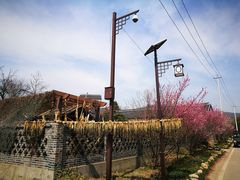 -石塘人家