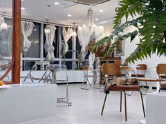 -共舞时光猫咖·狗咖(新街口店)