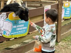 -广州锦绣香江度假别墅