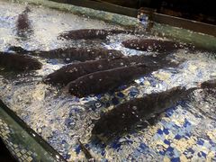 -森谷美食公园(杨行店)