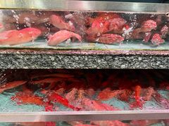 -新农都水产市场